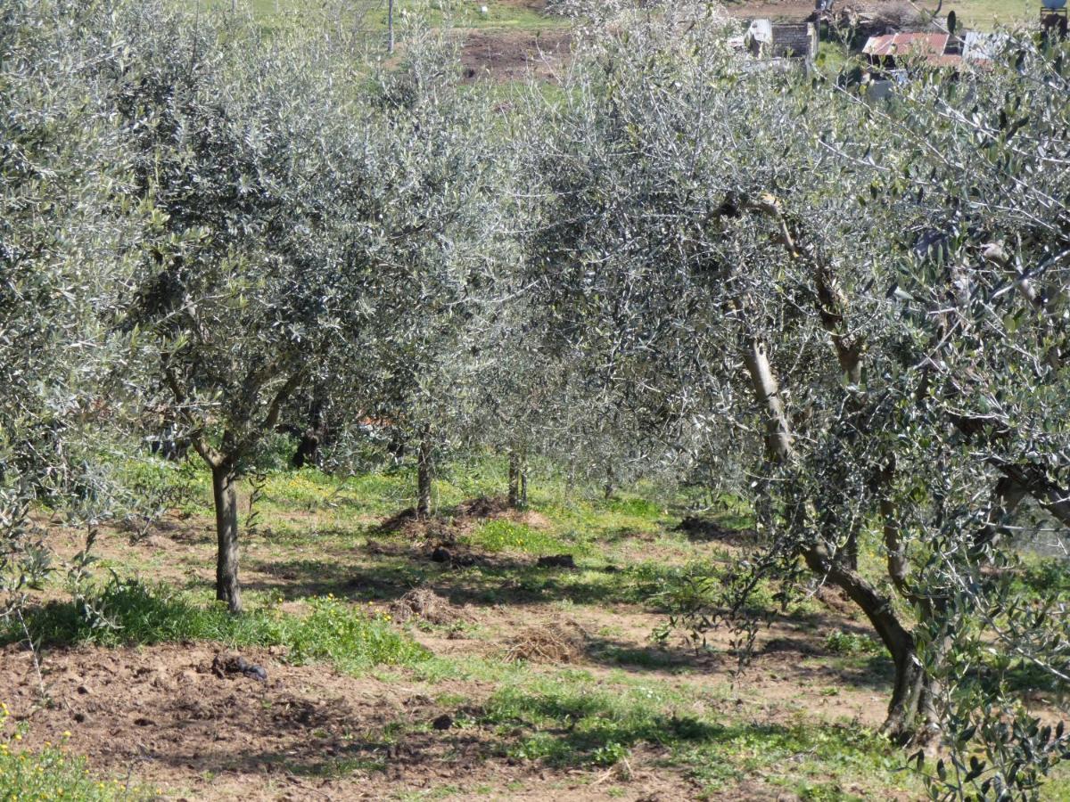 I Due Melograni Agriresort Tarano Exteriér fotografie